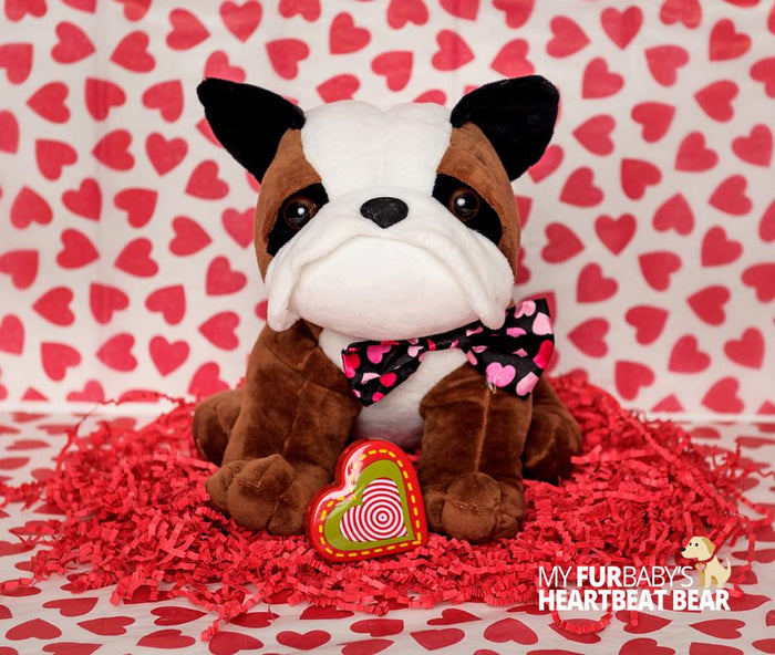 Puppy Love: Get Clients in the Door for Valentine’s Day