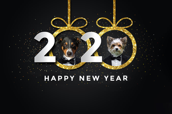 New Year’s Resolutions for Dog Lovers