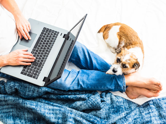 Benefits of Working From Home as a Dog Owner