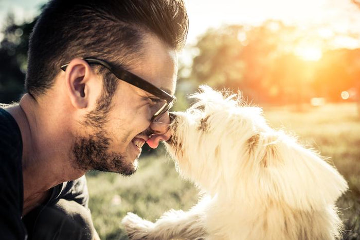 Top 12 Father’s Day Gifts for a Dog Dad