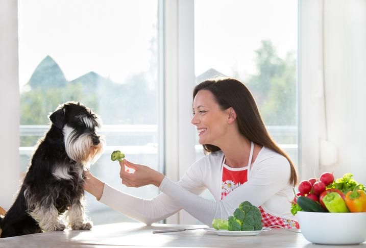 Top 8 Foods to Feed Your Dog