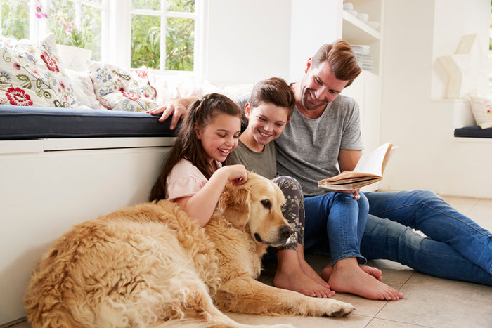 Benefits of Reading to Your Furbaby