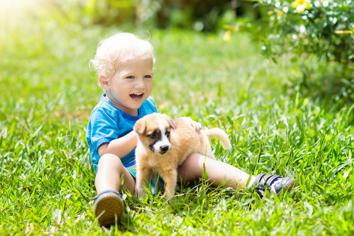 Rules for a Puppy, a Pregnancy, and a Toddler